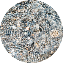 Image of plastic that needs recycling