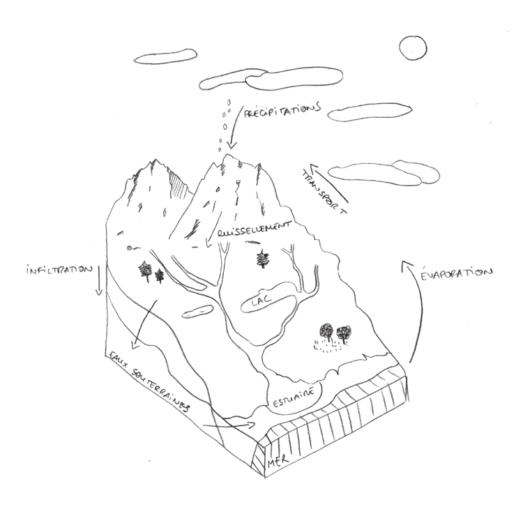 schéma détaillant le cycle de l'eau